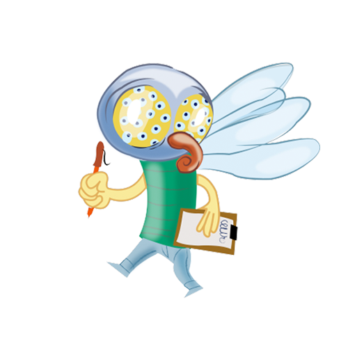 Ontvang advies, tips en inspiratie om je beleid bij te schaven